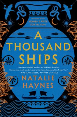 A thousand ships : a novel Book cover