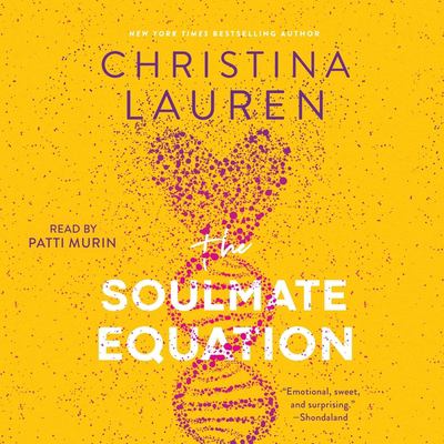 The soulmate equation Book cover