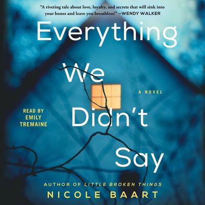 Everything we didn't say Book cover