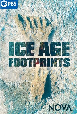 Ice age footprints Book cover