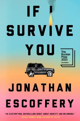 If I survive you Book cover