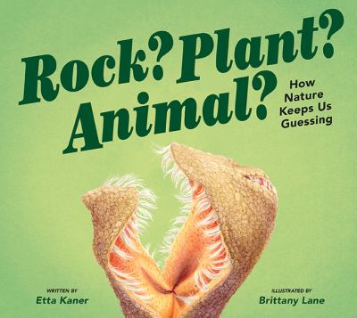 Rock? plant? animal? : how nature keeps us guessing Book cover