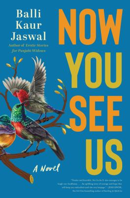 Now you see us : a novel Book cover