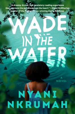 Wade in the water : a novel Book cover