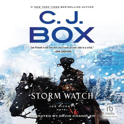 Storm Watch Book cover
