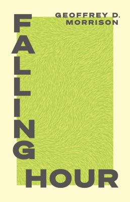 Falling hour Book cover