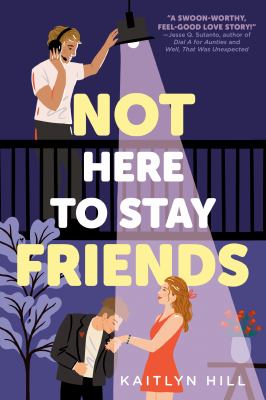 Not here to stay friends Book cover