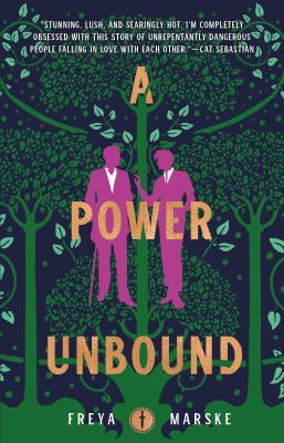 A power unbound Book cover