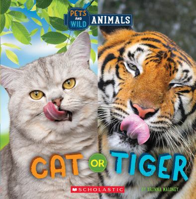 Cat or tiger Book cover