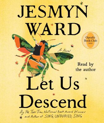 Let us descend : a novel Book cover