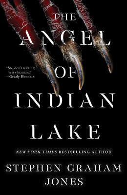 The angel of Indian Lake Book cover