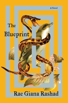 The blueprint : a novel Book cover