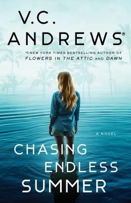 Chasing endless summer Book cover