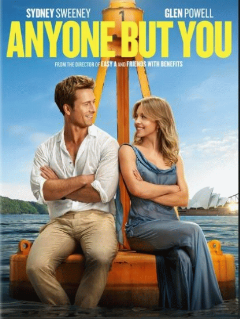 Anyone But You Book cover